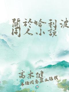 关于哈利波特的同人小说