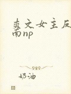 爽文女主反杀指南np