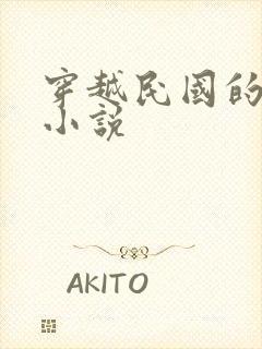 穿越民国的谍战小说