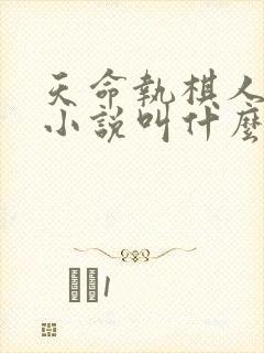 天命执棋人原著小说叫什么名字