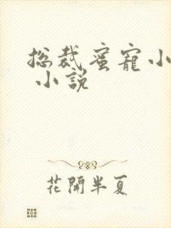 总裁蜜宠小甜妻 小说