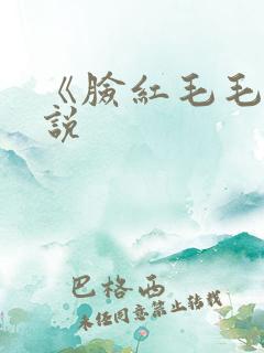 《脸红毛毛》小说
