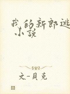 我的新郎逃婚了 小说