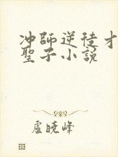 冲师逆徒才不是圣子小说