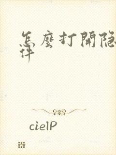 怎么打开隐藏软件