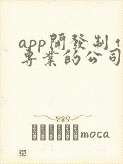 app开发制作专业的公司