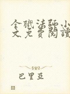 全职法师小说全文免费阅读笔趣阁