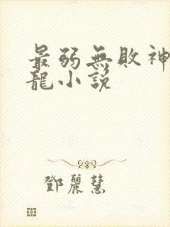 最弱无败神装机龙小说