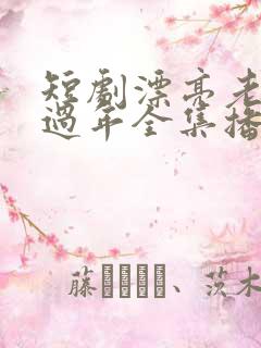 短剧漂亮老婆陪过年全集播放