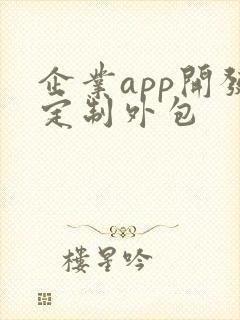 企业app开发定制外包