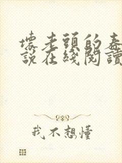 坏老头的春天小说在线阅读