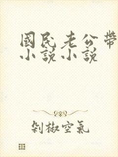 国民老公带回家小说小说