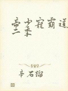 帝少宠霸道妻第二季