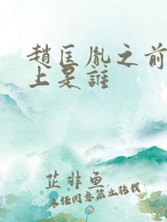 赵匡胤之前的皇上是谁