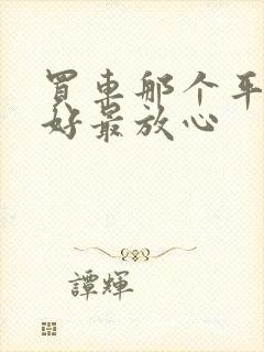 买车那个平台最好最放心