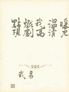 点燃我温暖你电视剧高清免费