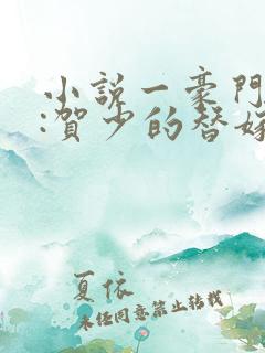 小说一豪门甜宠:贺少的替嫁新娘