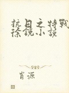 抗日之特战兵王徐锐小说