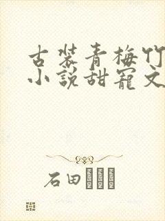 古装青梅竹马的小说甜宠文