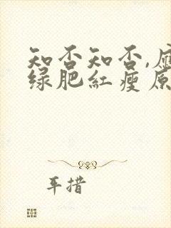 知否知否,应是绿肥红瘦原著小说