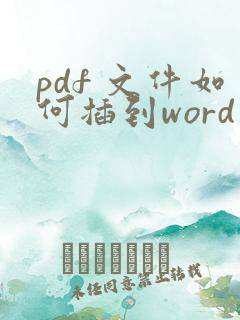 pdf 文件如何插到word中