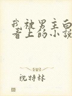 我被男主白月光看上的小说