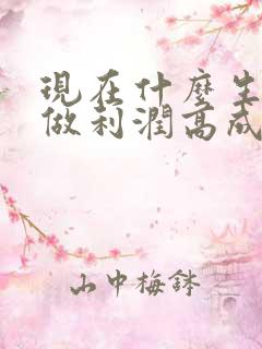 现在什么生意好做利润高成本低