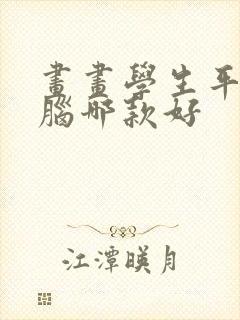 画画学生平板电脑哪款好