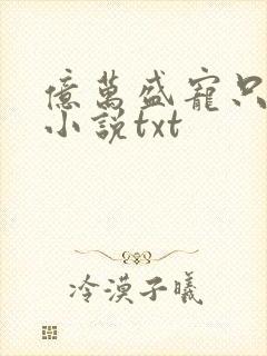 亿万盛宠只为你小说txt