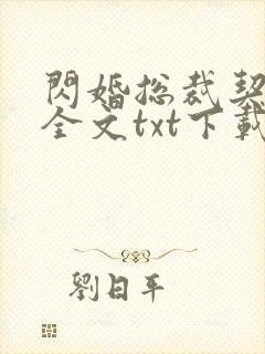 闪婚总裁契约妻全文txt下载