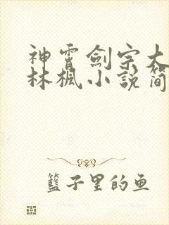 神霄剑宗大师兄林枫小说简介