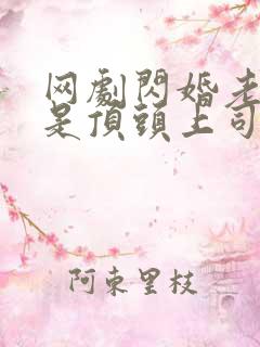 网剧闪婚老公竟是顶头上司