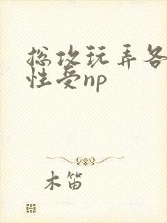 总攻玩弄各种双性受np