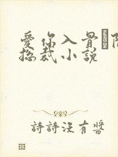 爱你入骨·隐婚总裁小说