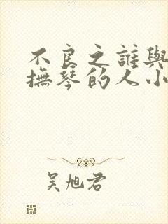 不良之谁与争锋抚琴的人小说