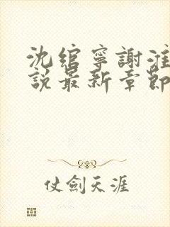 沈绾宁谢淮今小说最新章节免费阅读