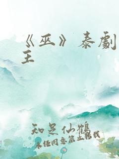 《巫》泰剧双男主