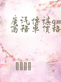 广汽传祺gm8商务车价格七座车