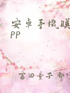 安卓手机映射app