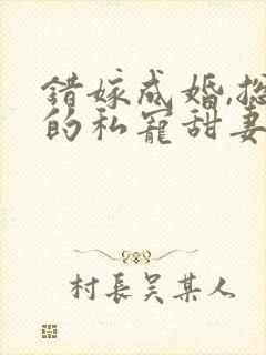 错嫁成婚,总裁的私宠甜妻短剧