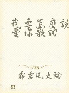 我要怎么说我不爱你歌词