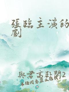 张临主演的谍战剧