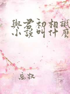 与君初相识原著小说叫什么