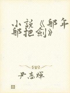 小说《那年那蝉那把剑》