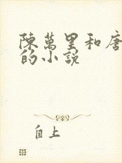 陈万里和唐嫣然的小说