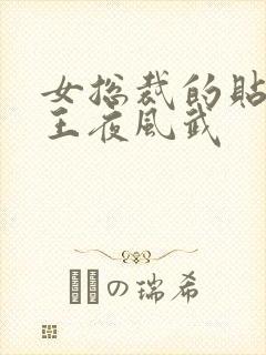 女总裁的贴身兵王夜风武