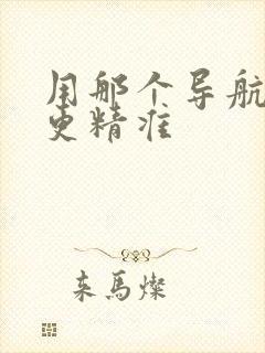 用那个导航地图更精准