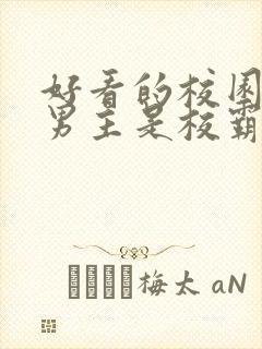 好看的校园小说男主是校霸