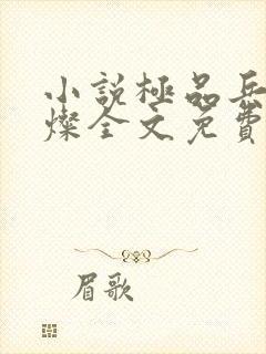 小说极品兵王苏灿全文免费阅读