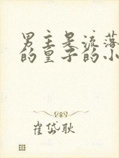 男主是流落在外的皇子的小说